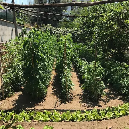 Bella فندق مبيت وإفطار 4*