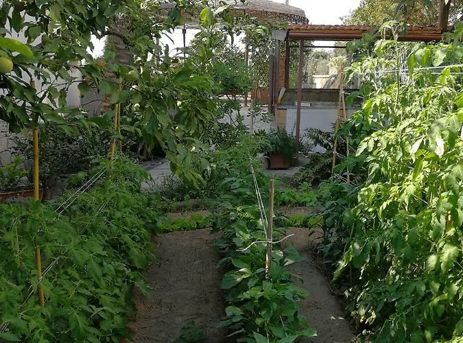 Bed & Breakfast Bella 4*