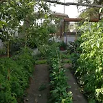 Bed and breakfast Bella 4*