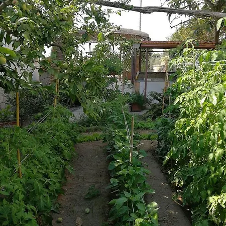 Nocleg ze śniadaniem Bella 4*