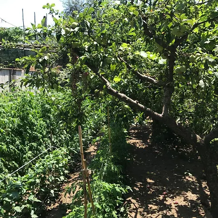 Bella Półwysep Sorrentyński