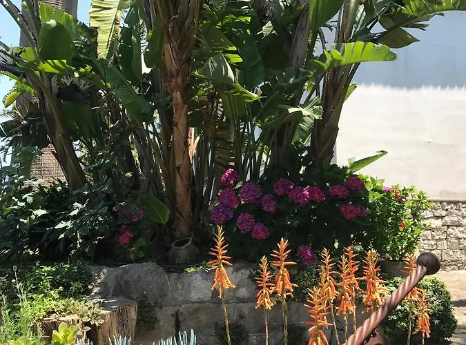 Bed and breakfast Bella