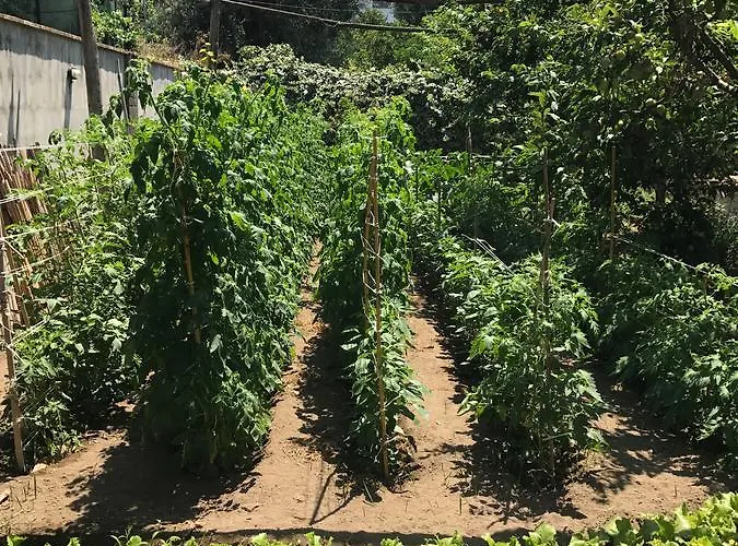 Bella Bed and breakfast 4*